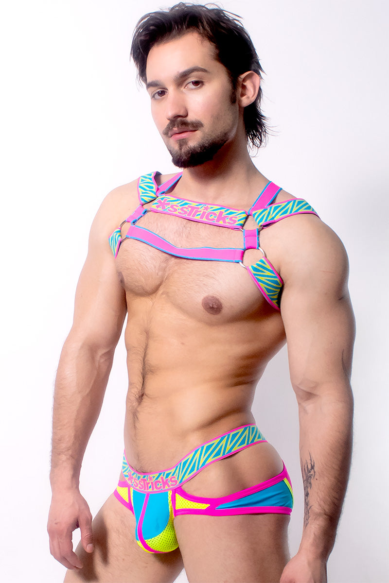 Prismatik Harness | Pink/Blue/Yellow