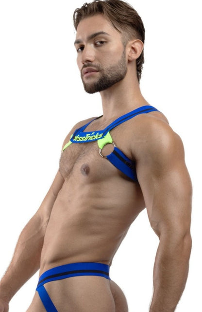 Teaser Harness | Cruisin' Cobalt